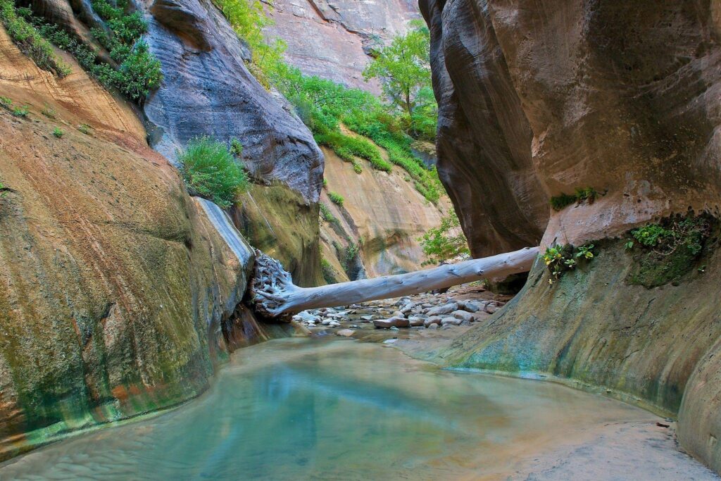 Landscape, Nature, Zion National Park Wallpapers 2K | Desk 4K and