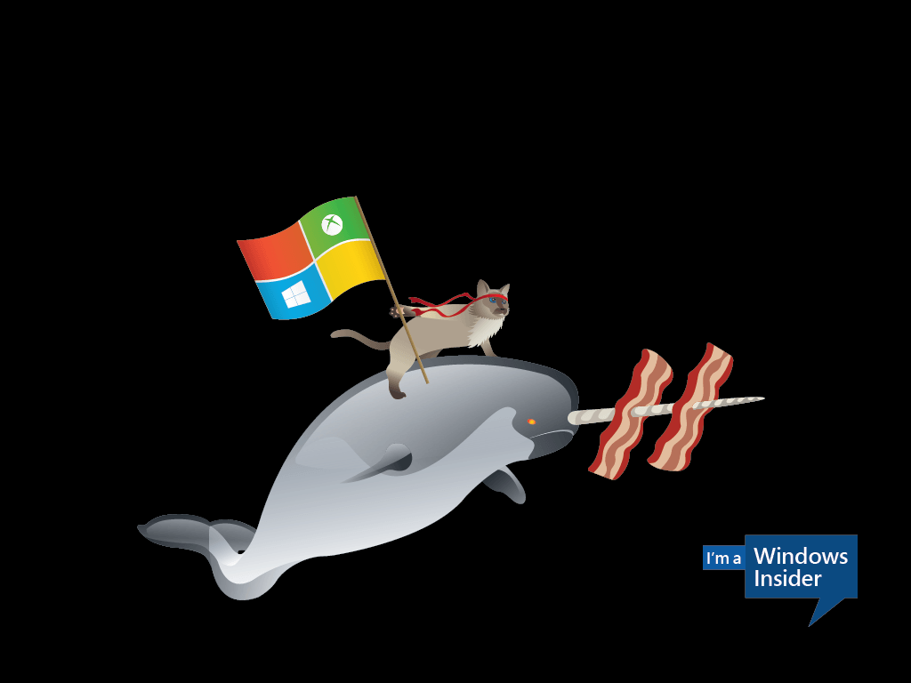 Celebrate the Windows ‘ninjacat’ meme with new Microsoft desktop