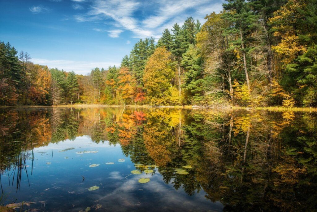 Norfolk connecticut lake forest autumn tree reflection 2K wallpapers