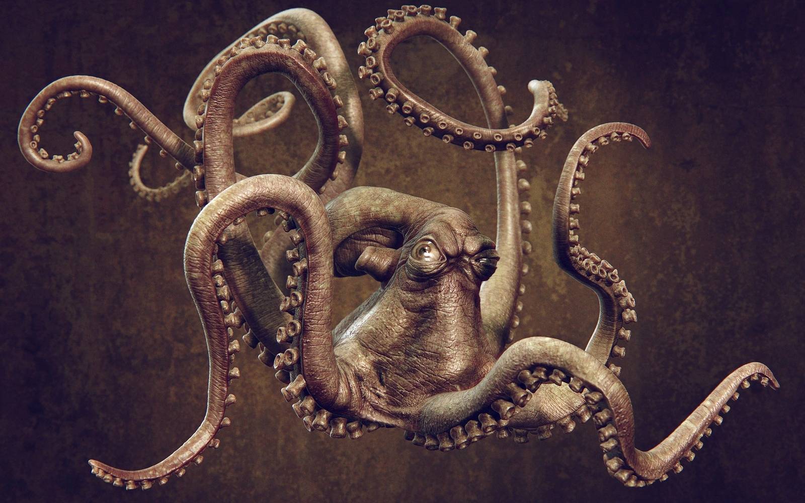 Octopus Wallpapers 2K Download