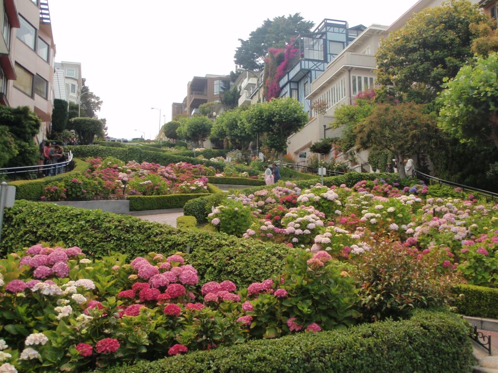Streets architecture garden buildings San Francisco wallpapers