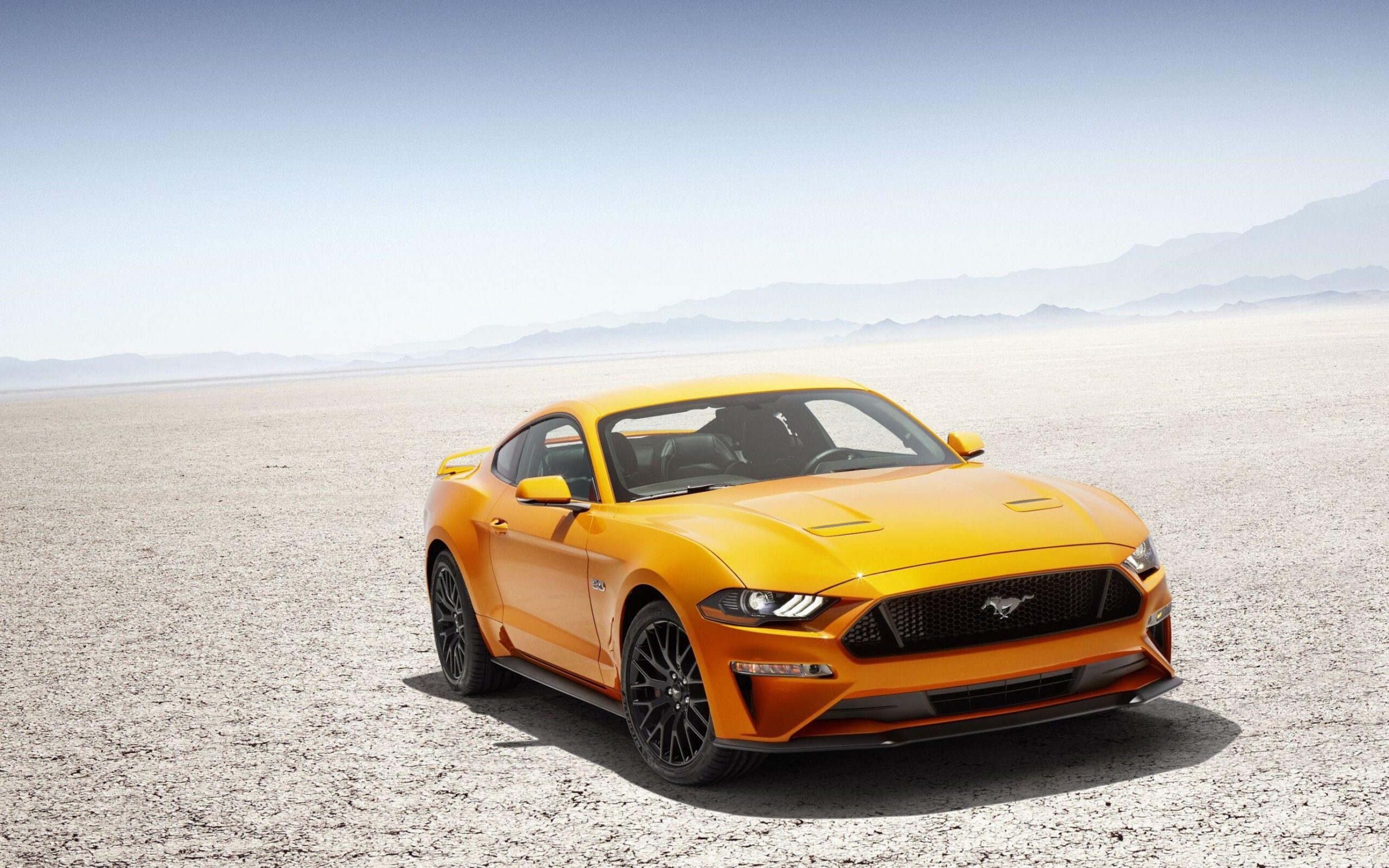 Wallpapers Ford Mustang, , HD, Automotive | Cars,
