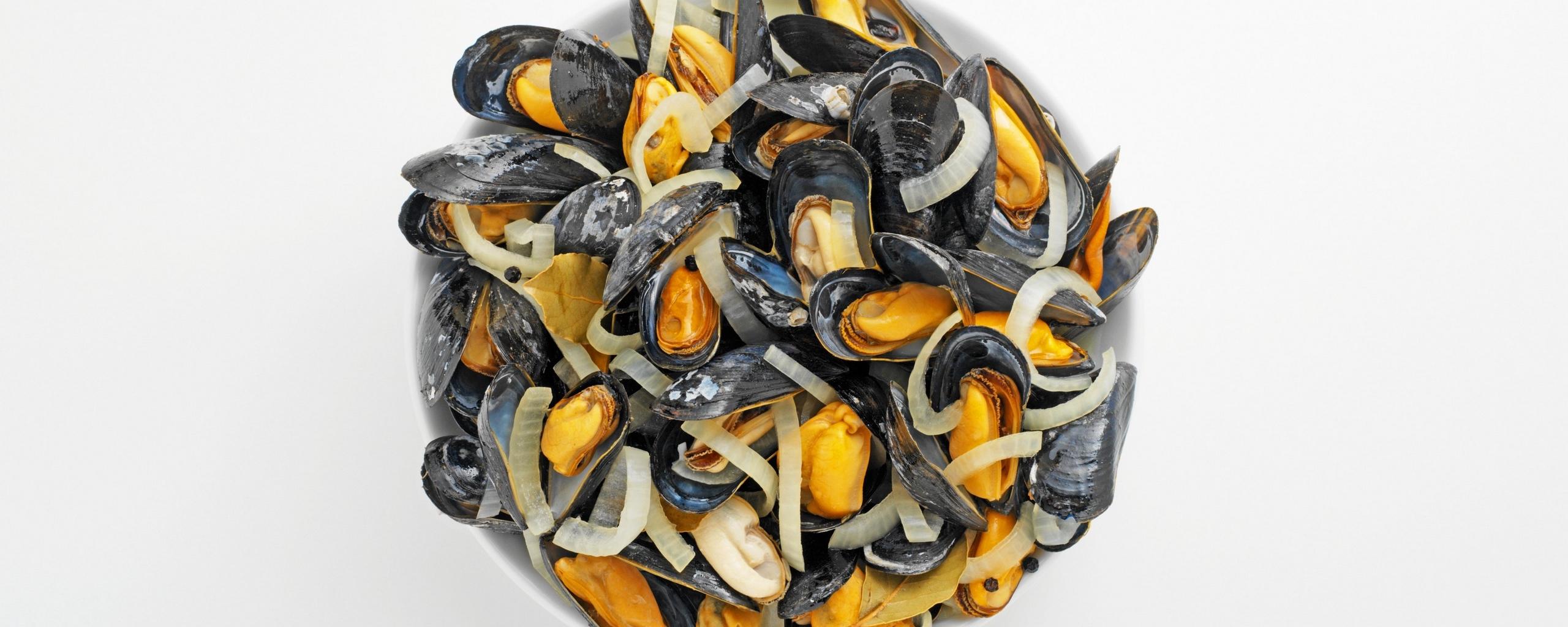 Download wallpapers dish, seafood, mussels