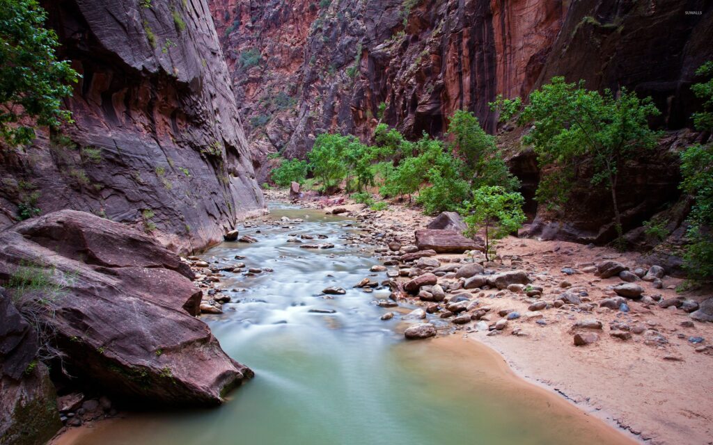 Small river stream in Zion National Park wallpapers