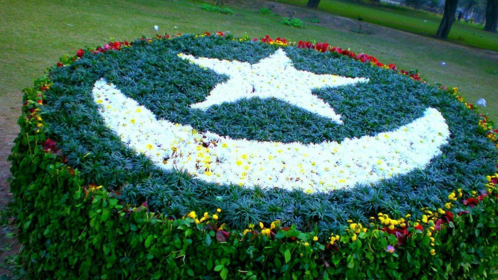 Pakistani Flag Art with Grass and Flowers