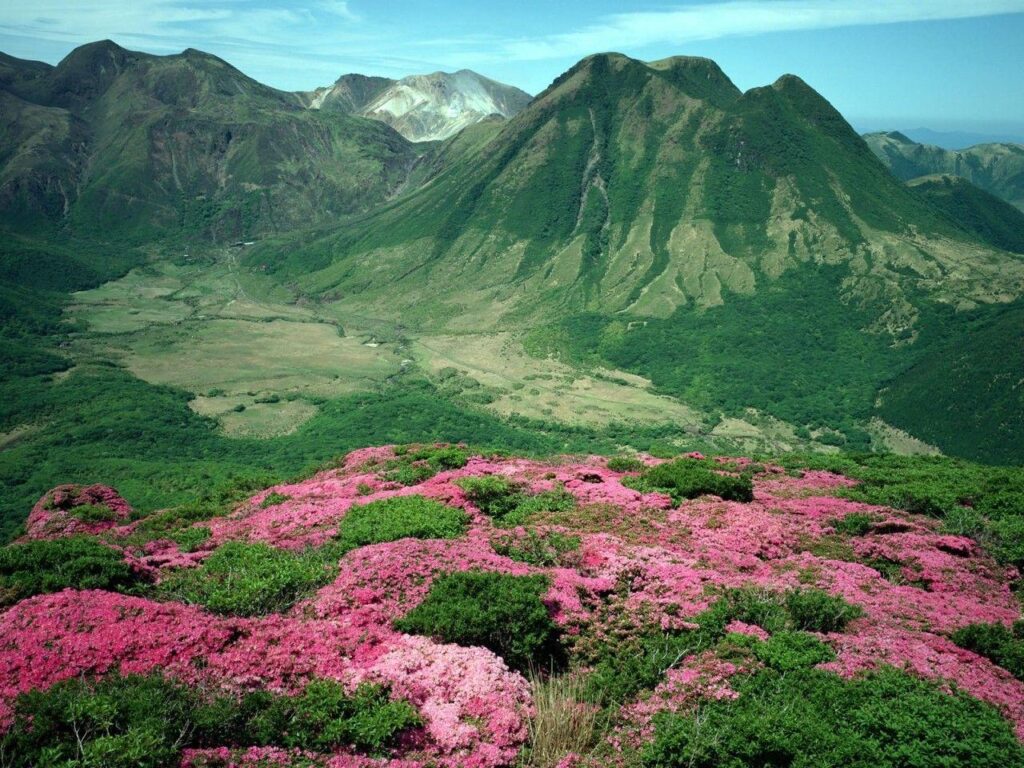 Primaveral Tag wallpapers Montana Mountains Green Pinks State