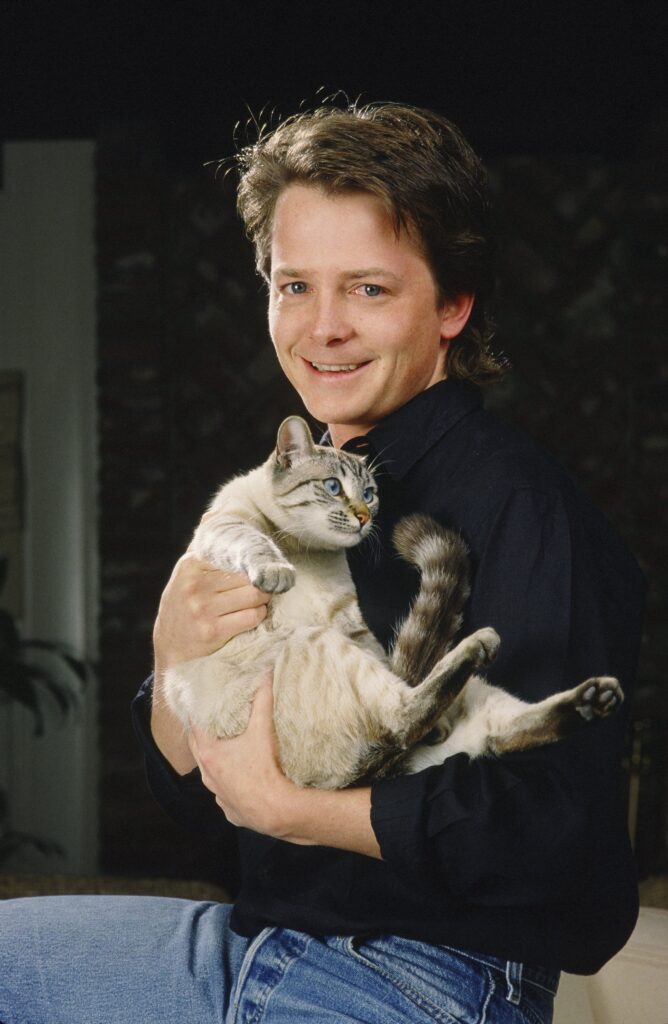 Michael J Fox Wallpapers High Quality