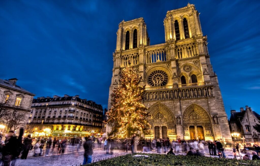 Wallpapers holiday, France, Paris, tree, New Year, area, Notre Dame