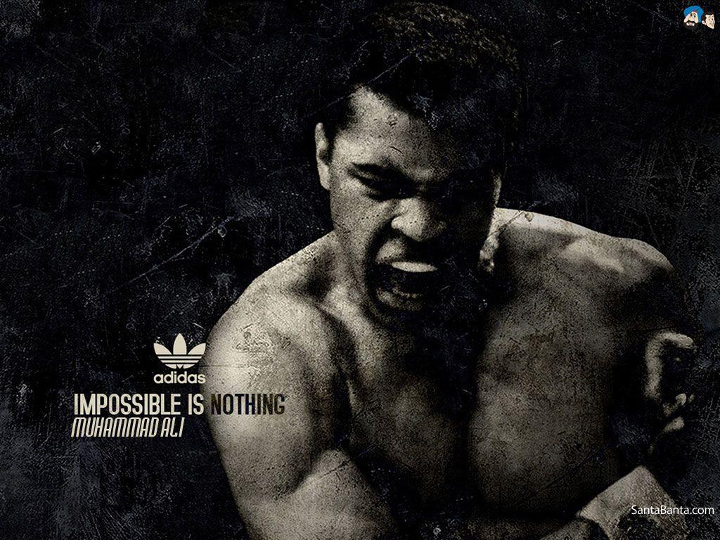 Boxing wallpapers × Boxing Wallpapers