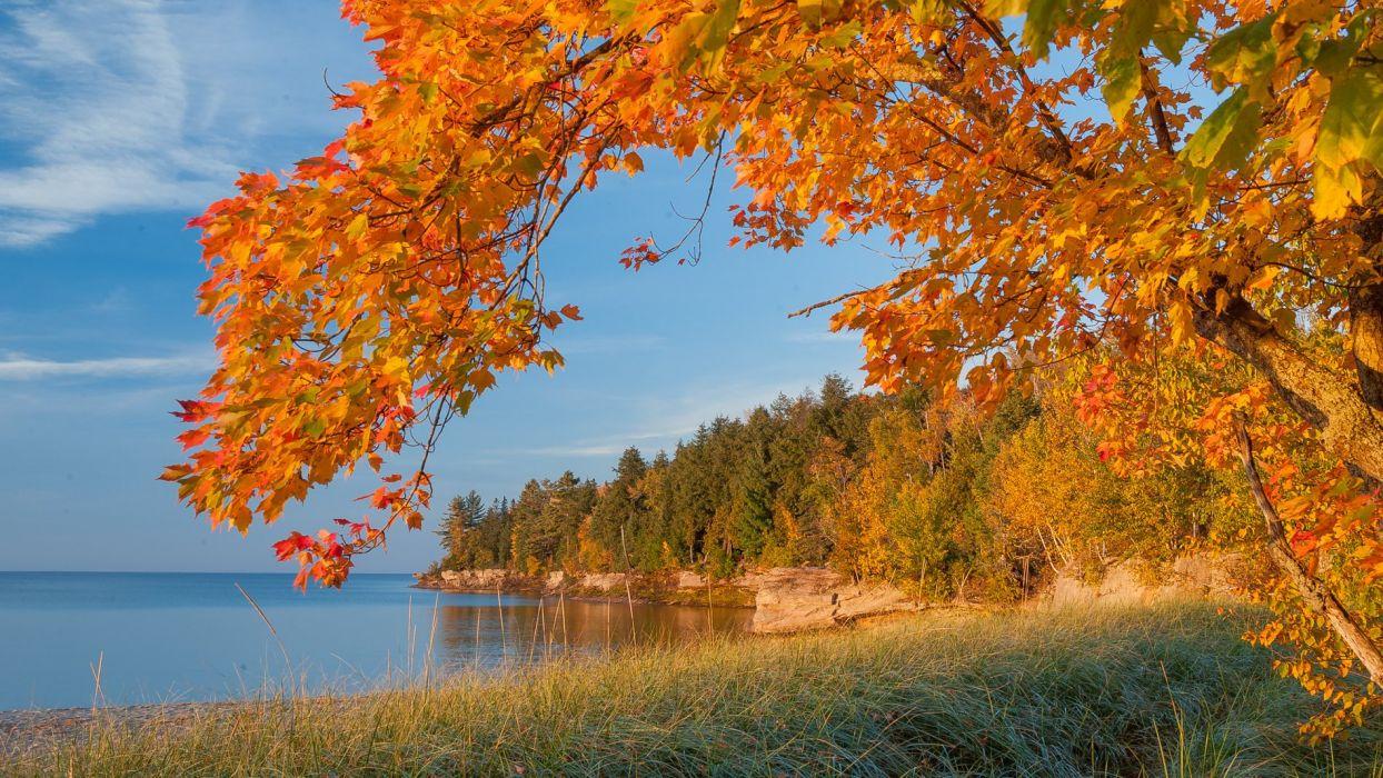 Autumn lake trees landscape Michigan wallpapers