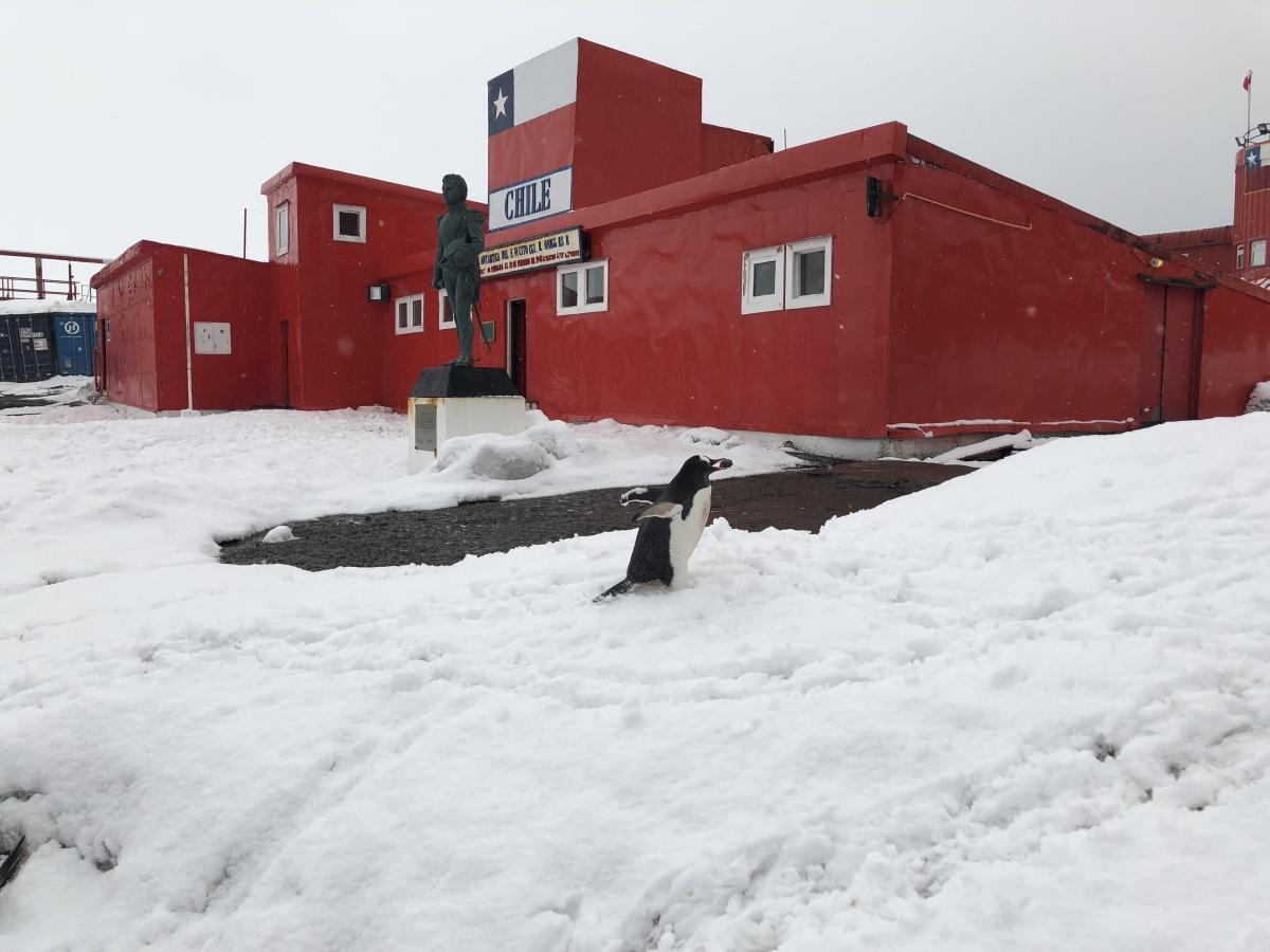 Chinese Exploitation of Natural Resources in Antarctica is Worrying