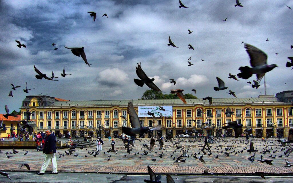 Square Pigeon Bogota Colombia Free Download from zet Wallpapers