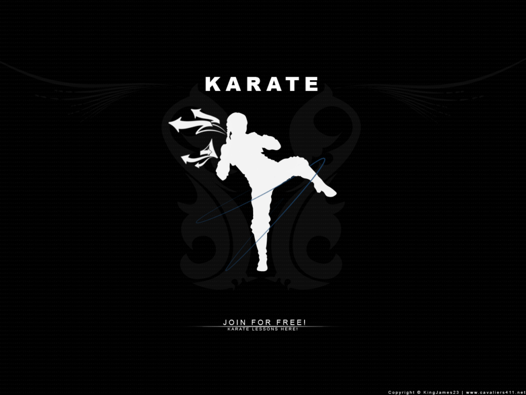 DeviantArt More Like Karate Wallpapers by reboundmaster