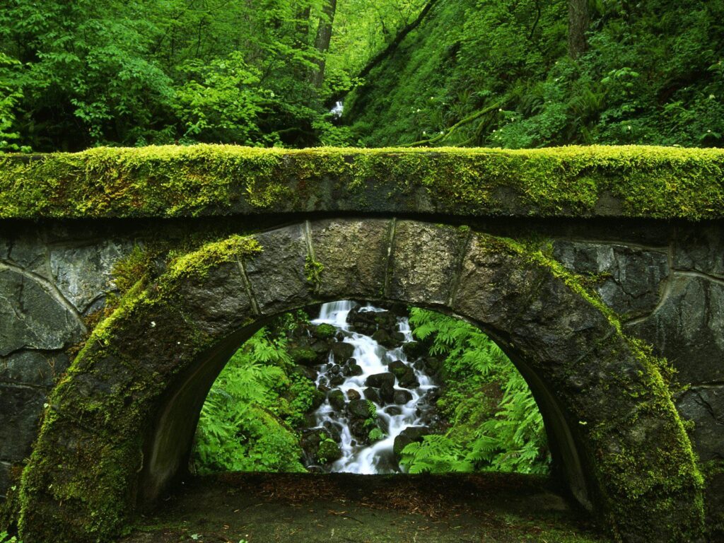 Oregon Wallpapers HD, Desk 4K Backgrounds, Wallpaper and Pictures