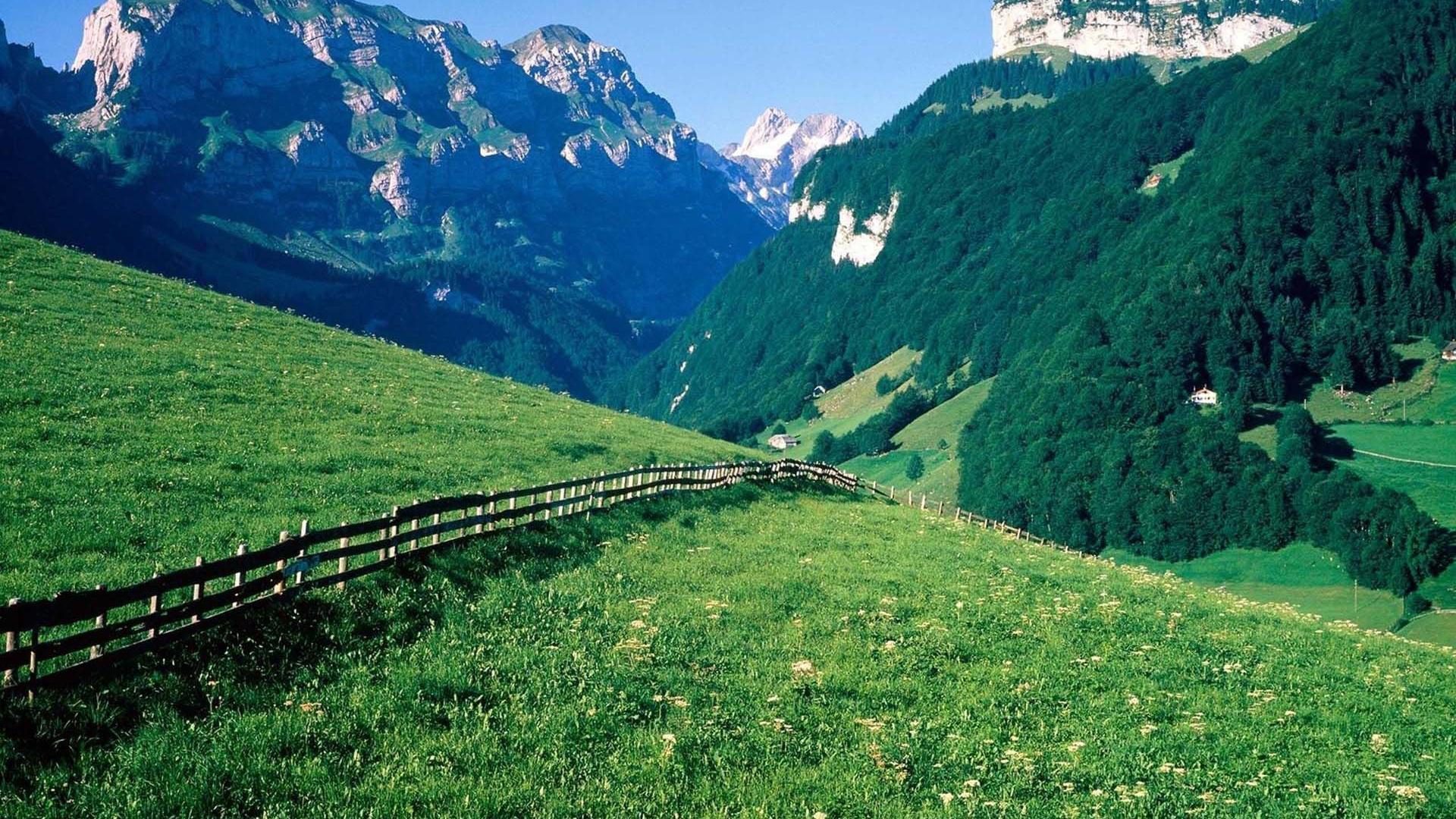 HD Wonderful Swiss Alps Meadow Wallpapers