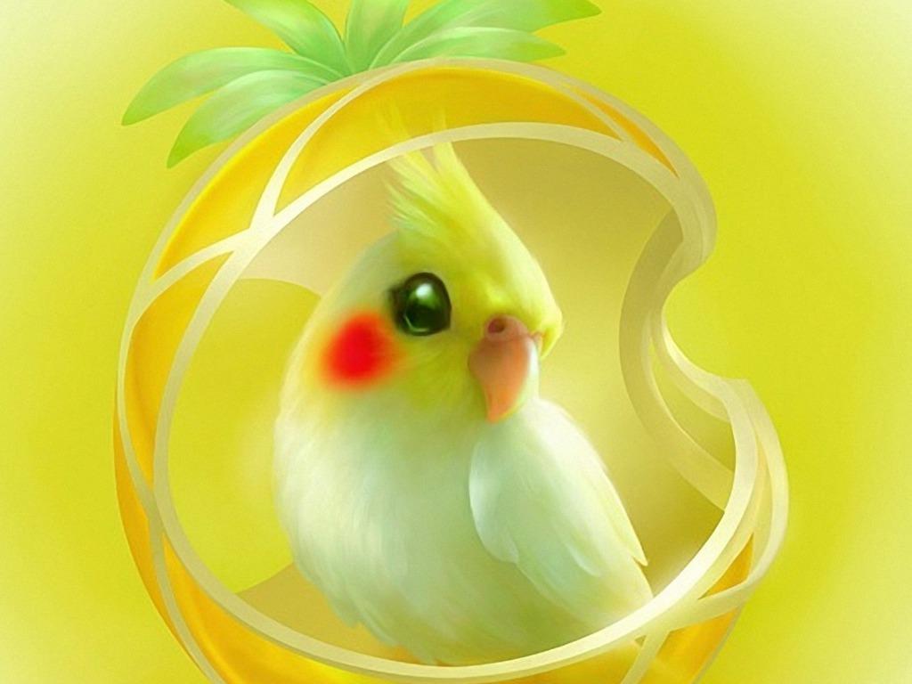 Cute parrot wallpapers
