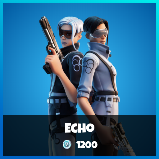 Echo Fortnite wallpapers