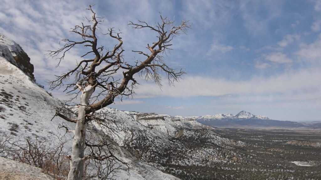 Mountain Mesa Verde Colorado Mountains Tree Winter National Park