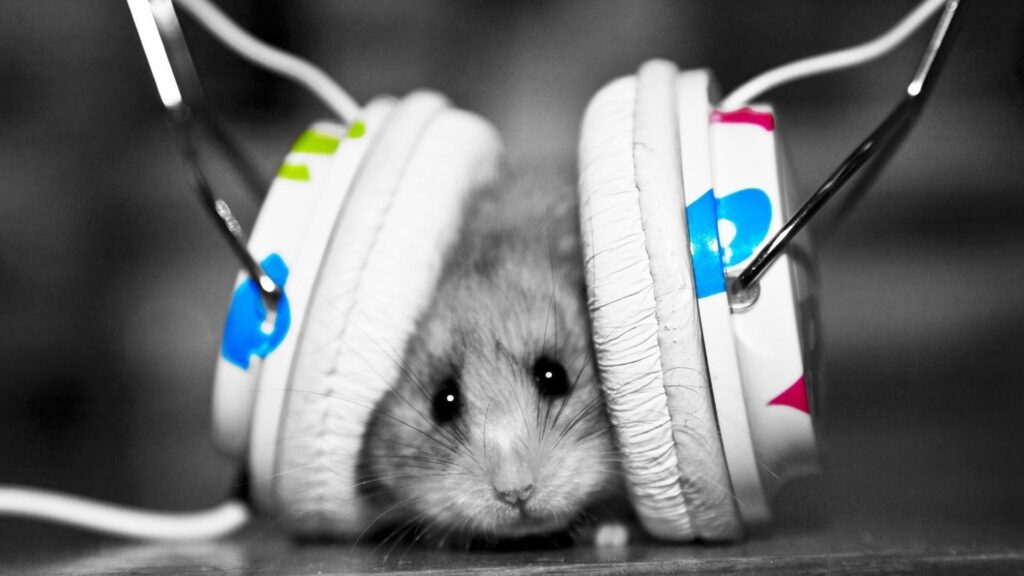 Mouse with Headphones 2K Wallpapers » FullHDWpp