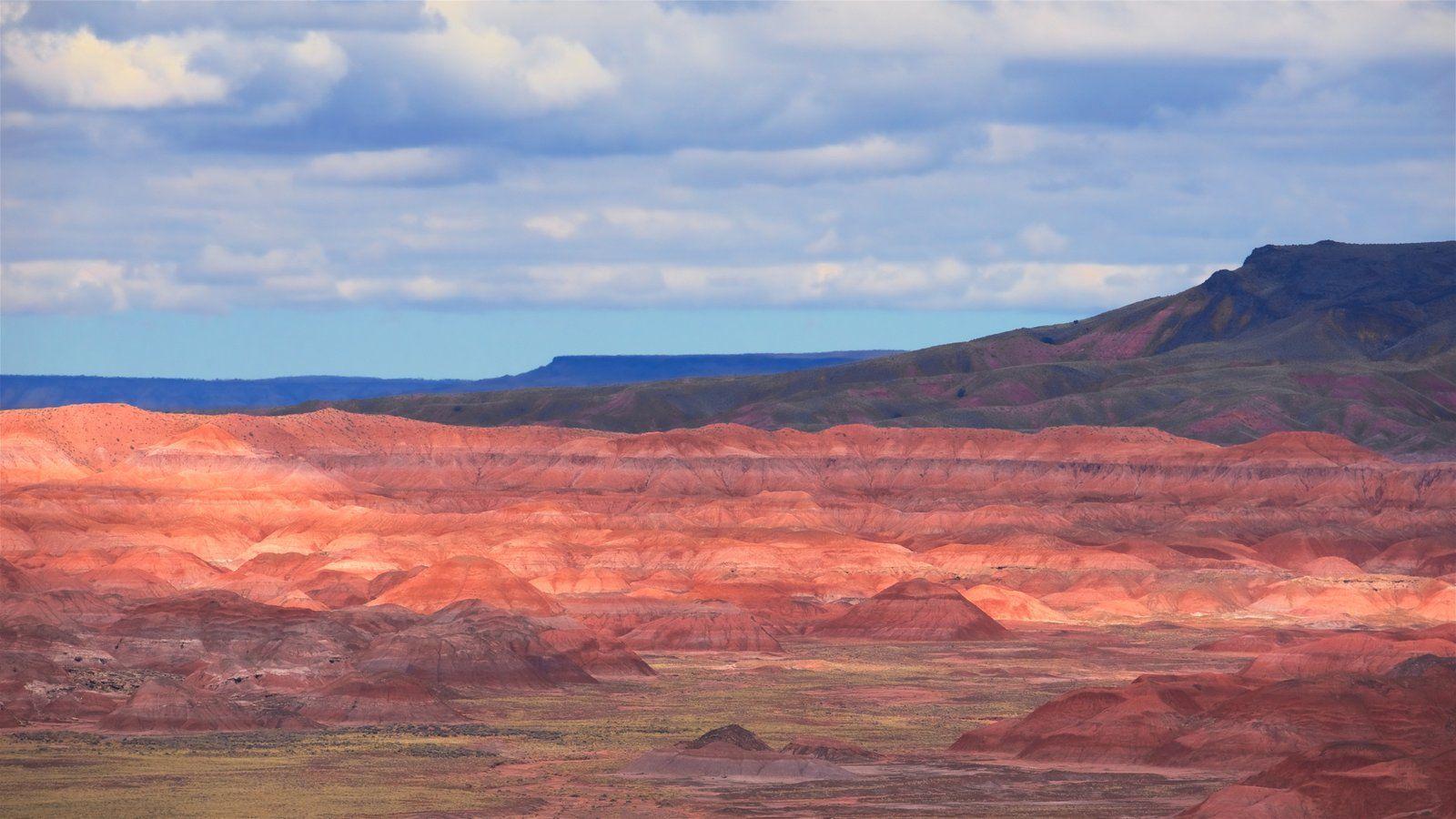 Landscape Pictures View Wallpaper of Petrified Forest National Park