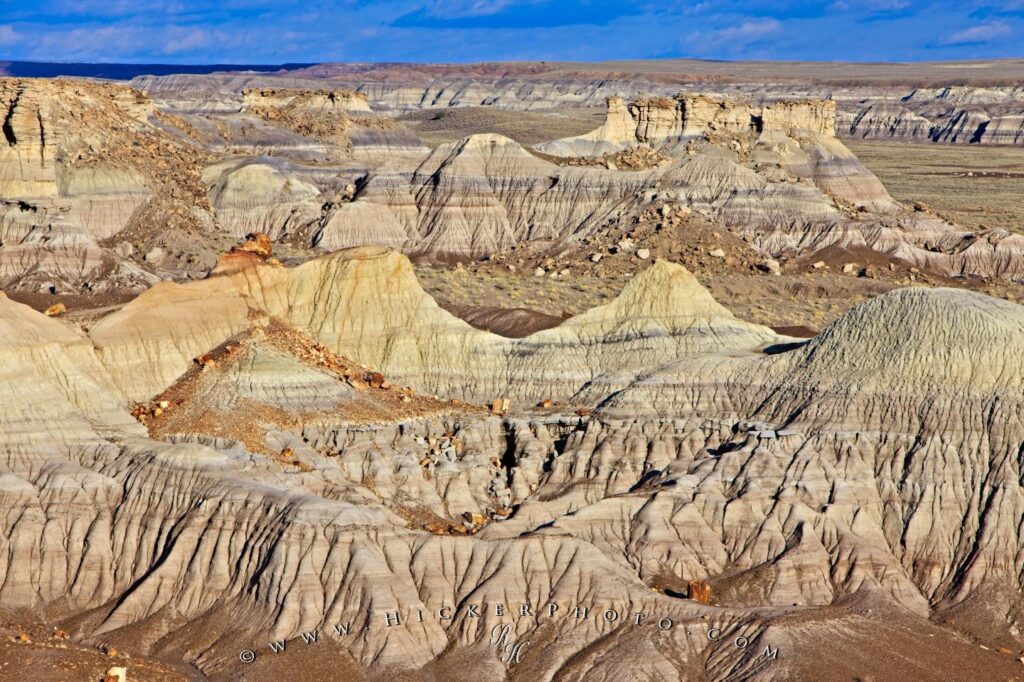 Free wallpapers background Petrified Forest Landscape Arizona