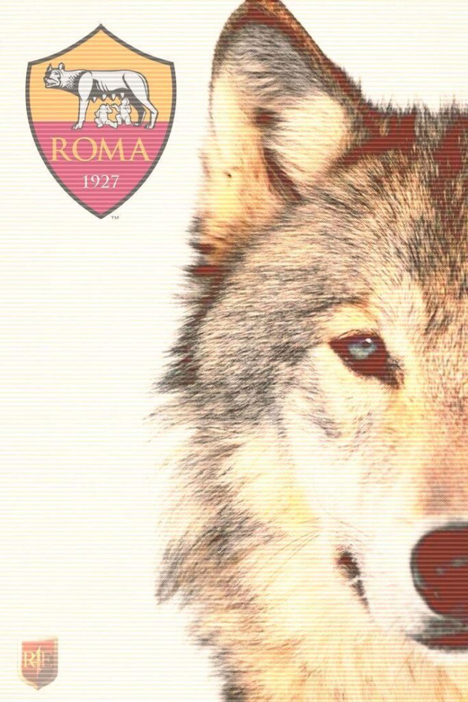 Wolves, As roma and Sons