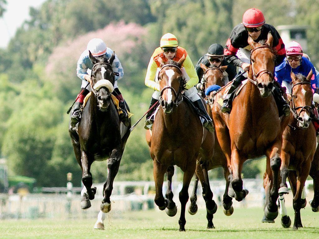 Horse Racing Wallpapers for computers