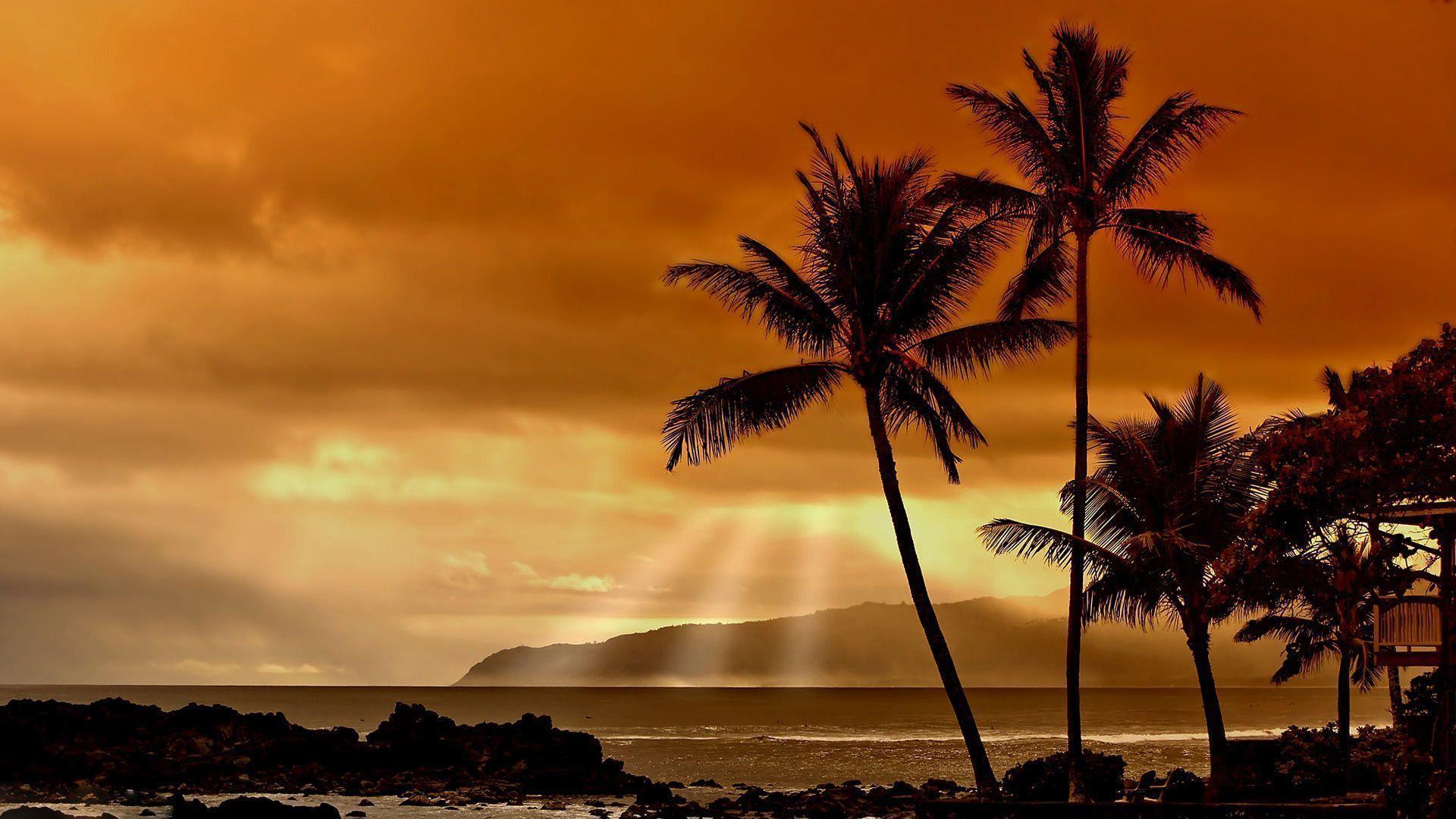 Hawaiian Sunset 2K Wallpapers