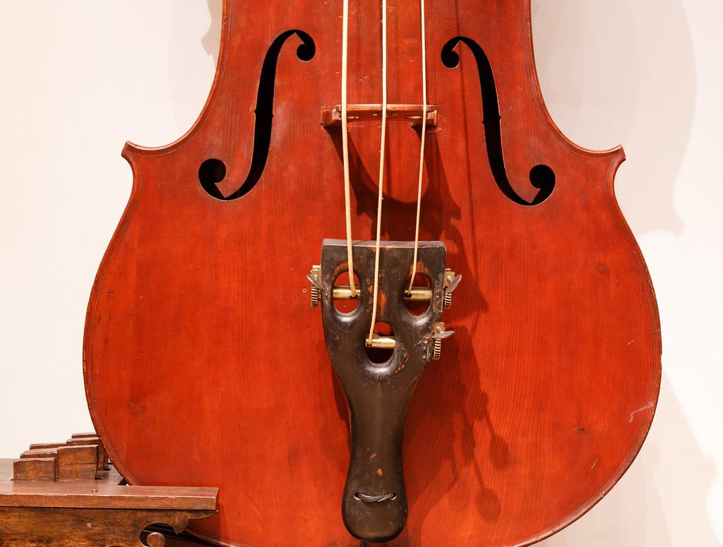 The World’s Best Photos of octobass