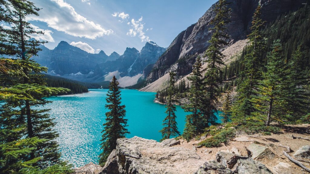 Moraine Lake on a sunny day wallpapers