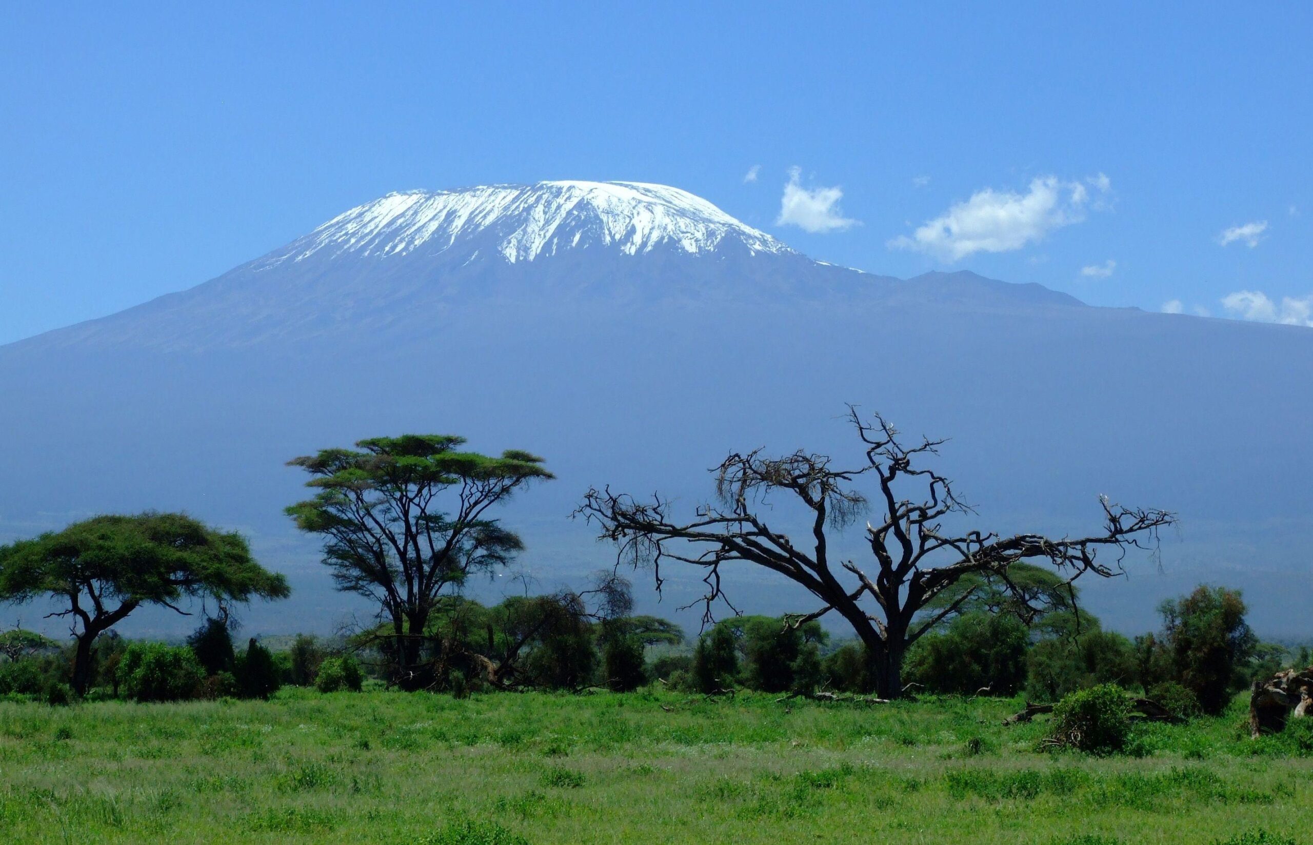 Mount Kilimanjaro is a dormant volcano in Tanzania Africa Full HD