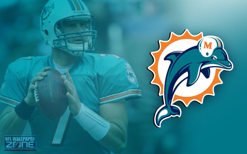 Dolphins Wallpapers and Backgrounds
