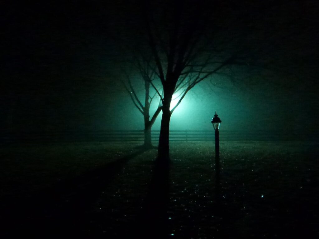 Foggy Night  wallpapers