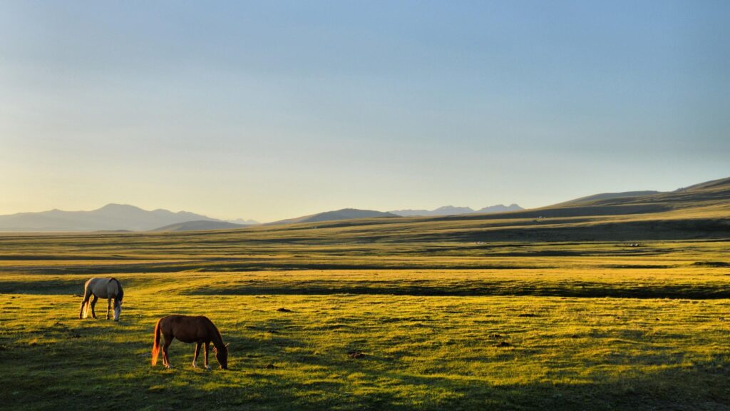 Horse kyrgyzstan song kul plains Wallpapers 2K | Desk 4K and Mobile