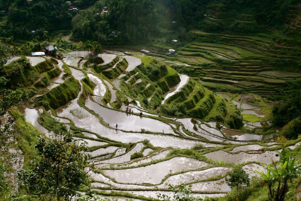 World Visits Famous Place Banaue Rice Terraces Years Old Mountains