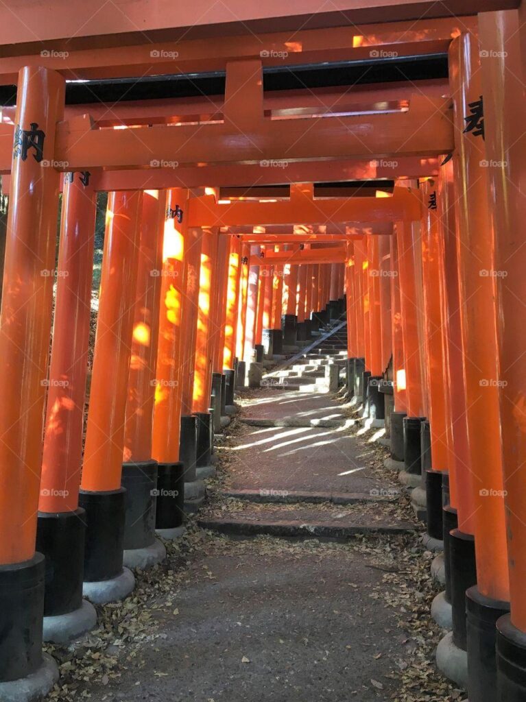 Foap Fushimi Inari Shrine, Kyoto stock photo by theo dore