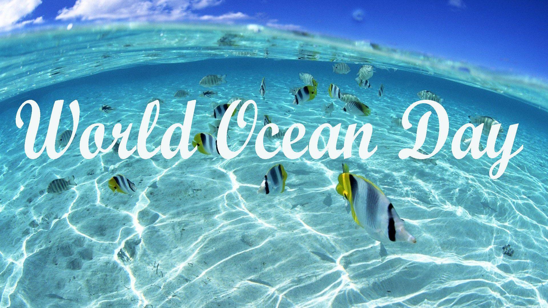 World Ocean Day Under Ocean Fish 2K Wallpapers