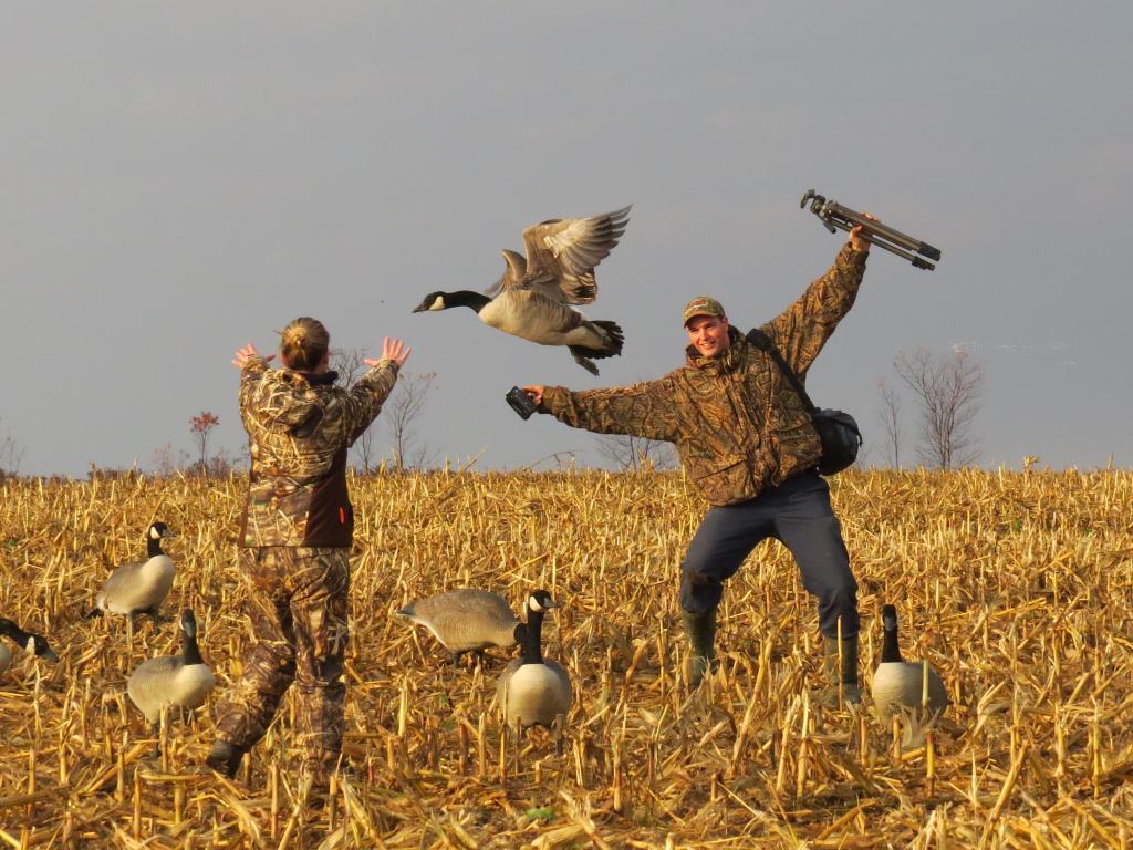 Desk 2K Backgrounds Goose Hunting Wallpapers, Goose Hunting