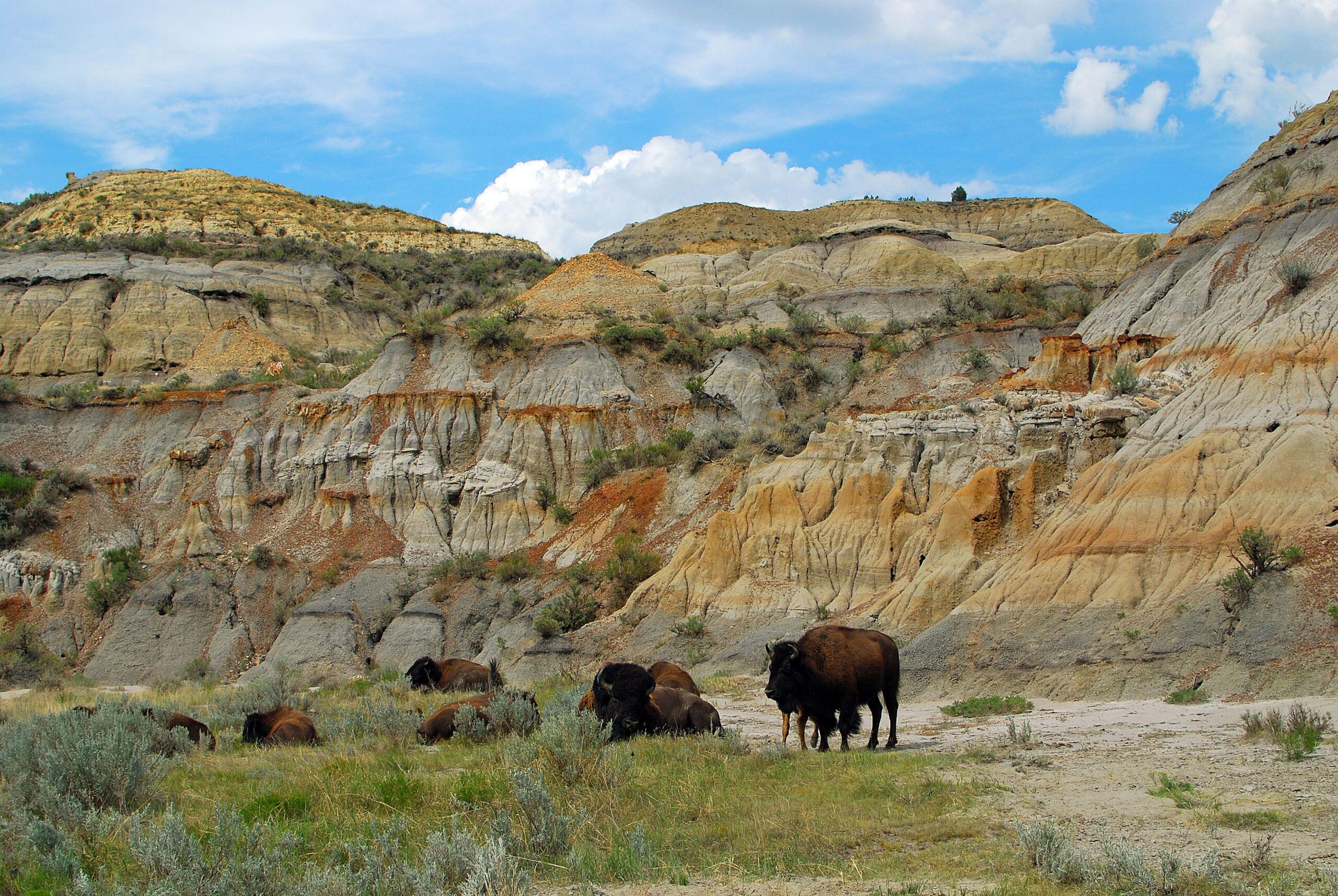 Check out Theodore Roosevelt National Park, North Dakota