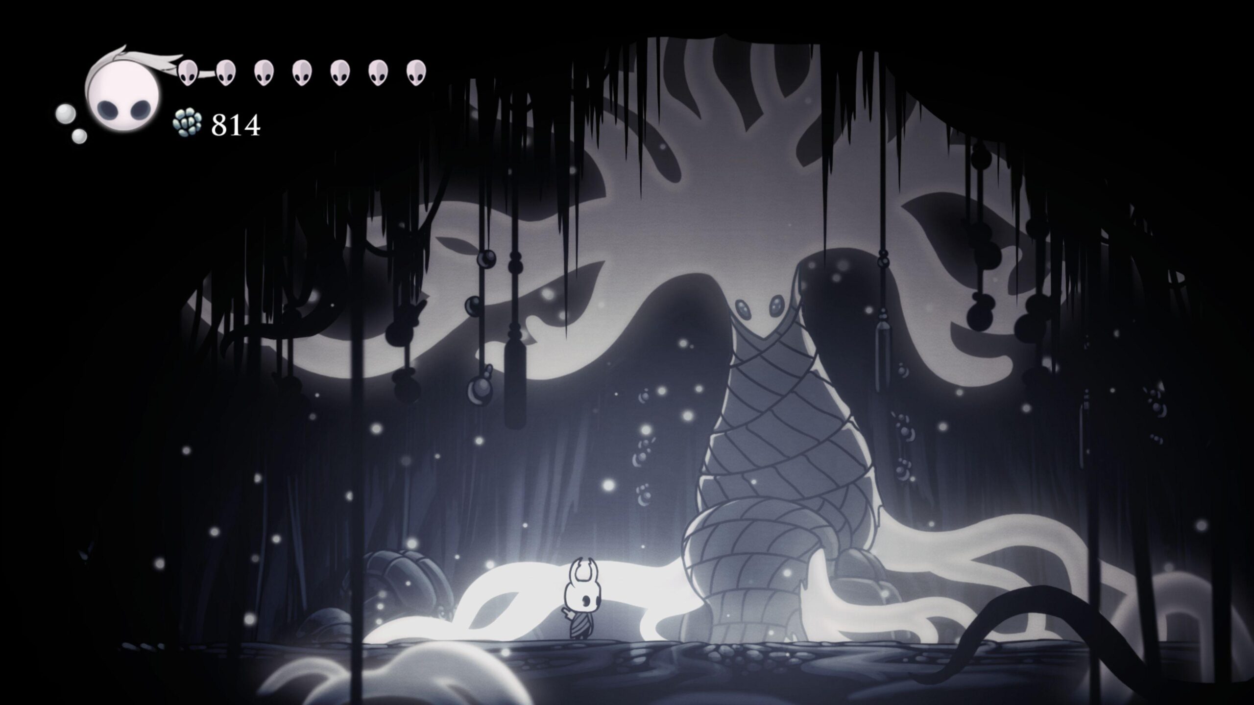 Hollow Knight k Ultra 2K Wallpapers and Backgrounds Wallpaper