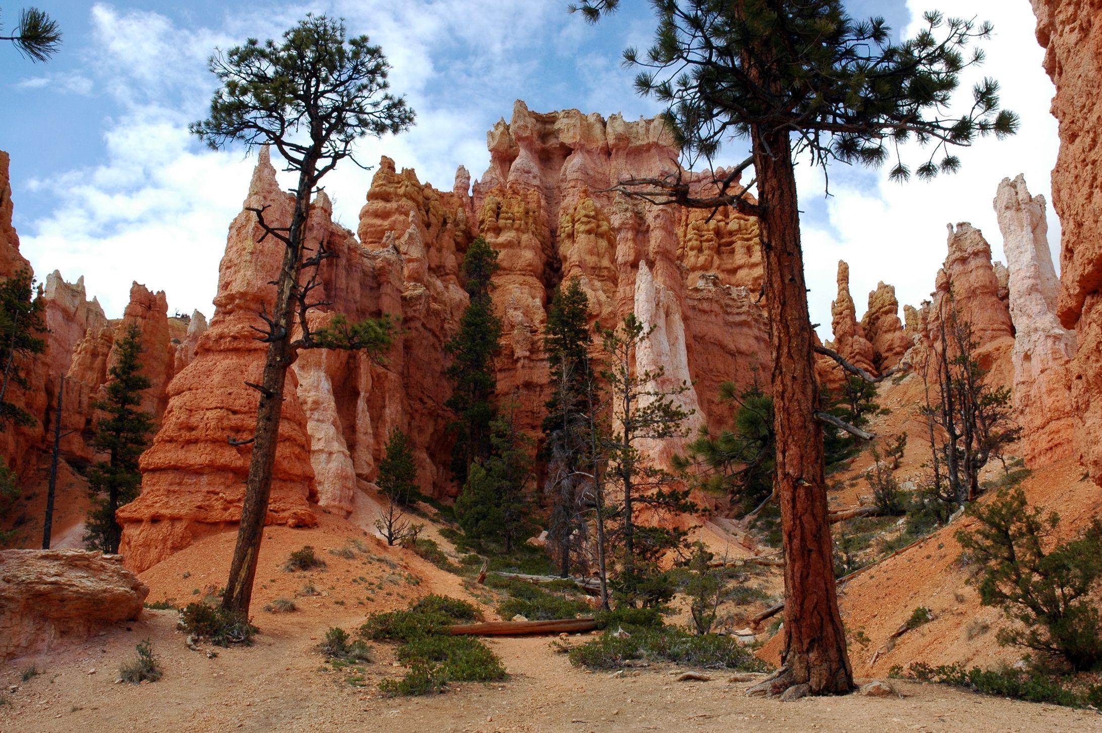 Bryce Canyon National Park Backgrounds → Earth Gallery