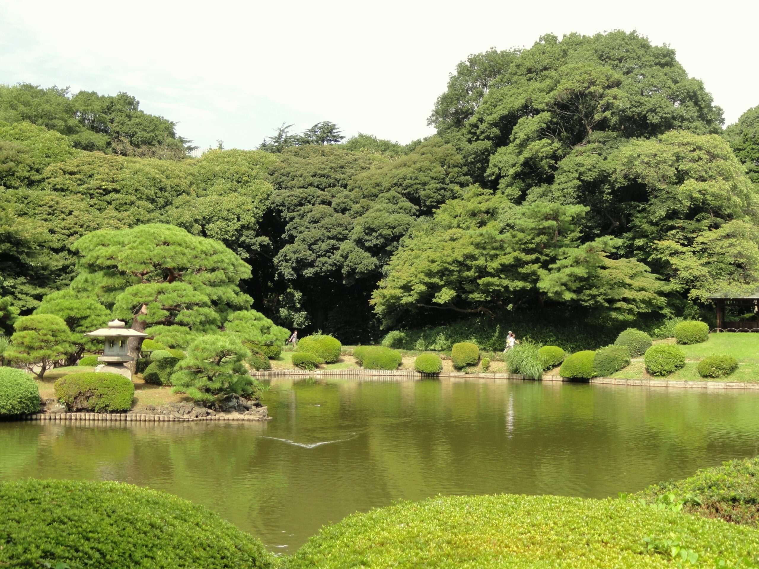 FileShinjuku Gyoen National Garden
