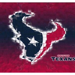 Houston Texans