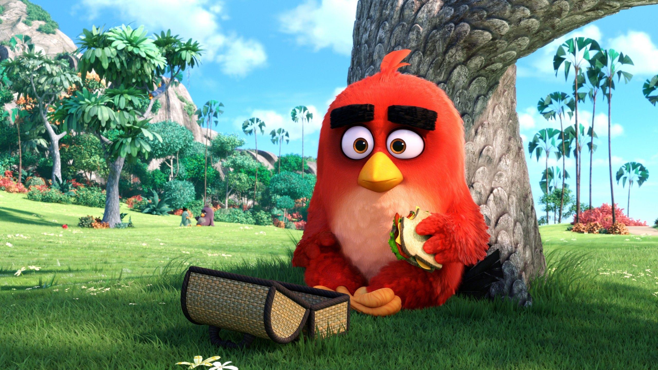 Wallpapers Red, Angry Birds, , K, Movies,