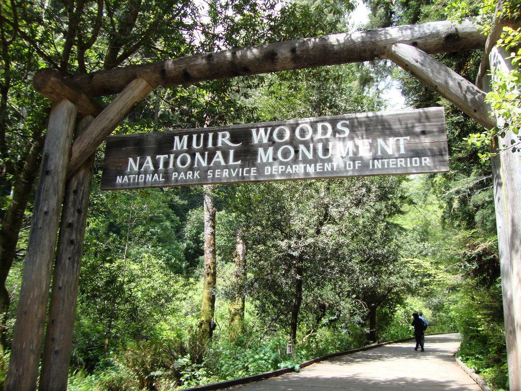 Muir Woods A Guide To The Magnificent Redwood Forest