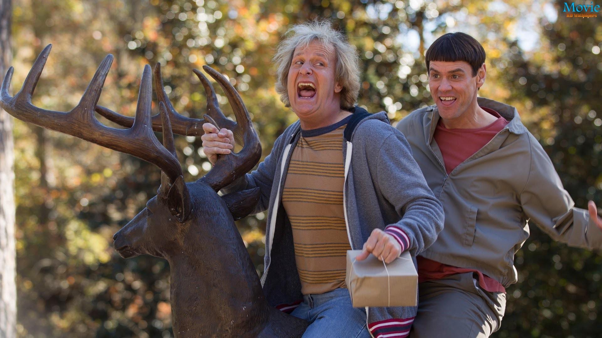 Best Dumb and Dumber Wallpapers on HipWallpapers