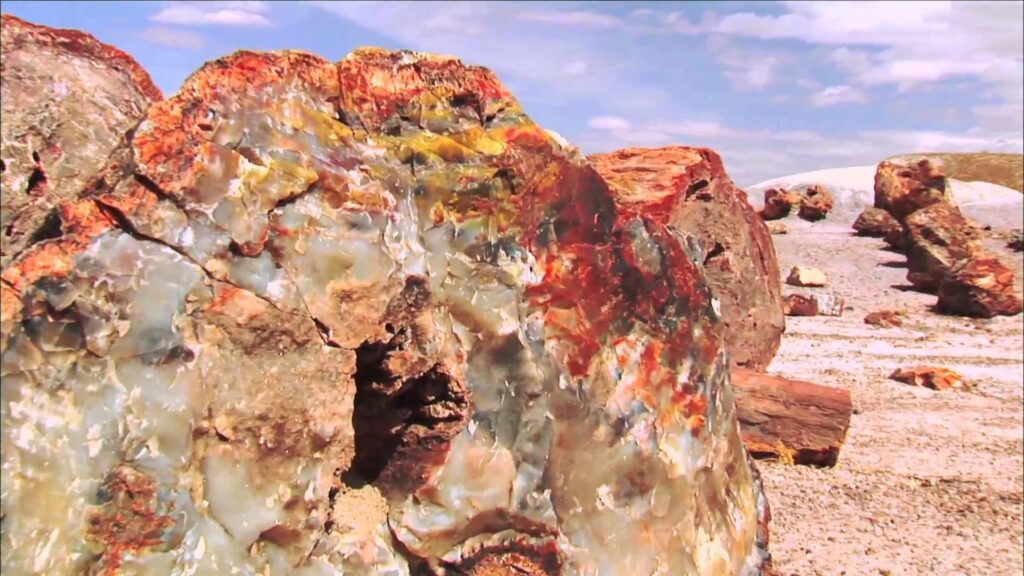 Petrified Forest National Park