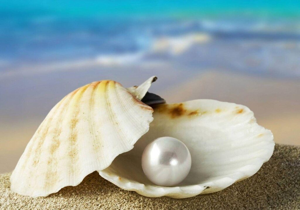 A Choice Pearl