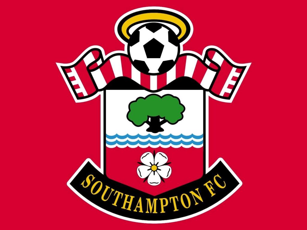 Southampton fc flag