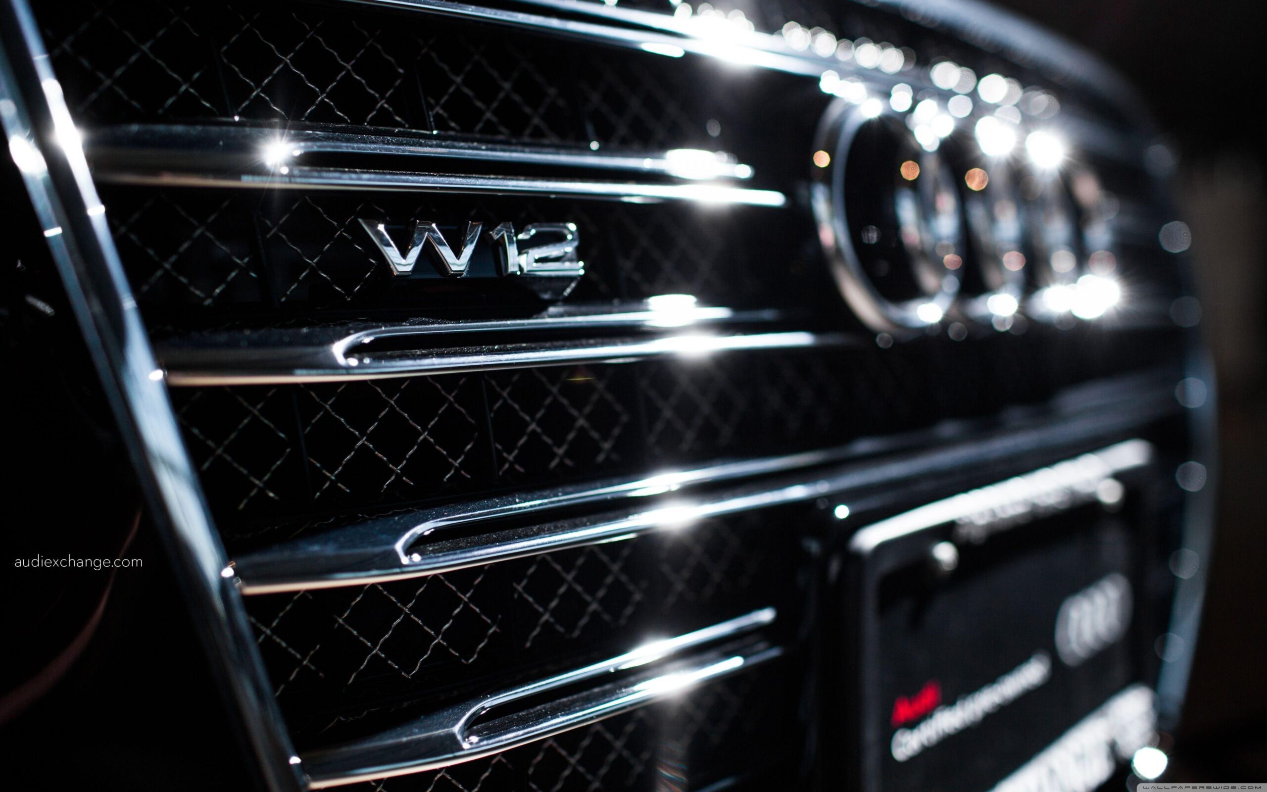 Audi A W Badge and Grille